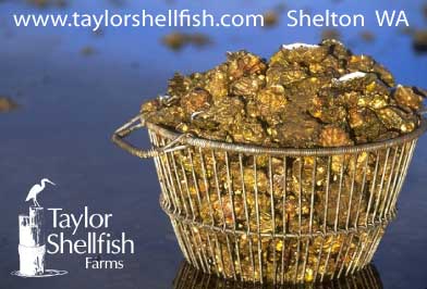 Taylor Shellfish basket of oysters