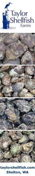 Taylor Shellfish oyster skyscraper