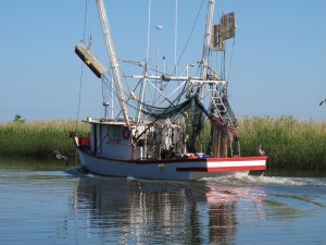 Apalachicola Bay | The Oyster Guide