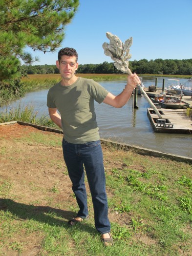 Oysters on a Stick